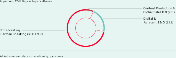 Group revenue share by segment (pie chart)