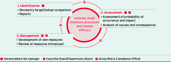 Risk management process (graphic)